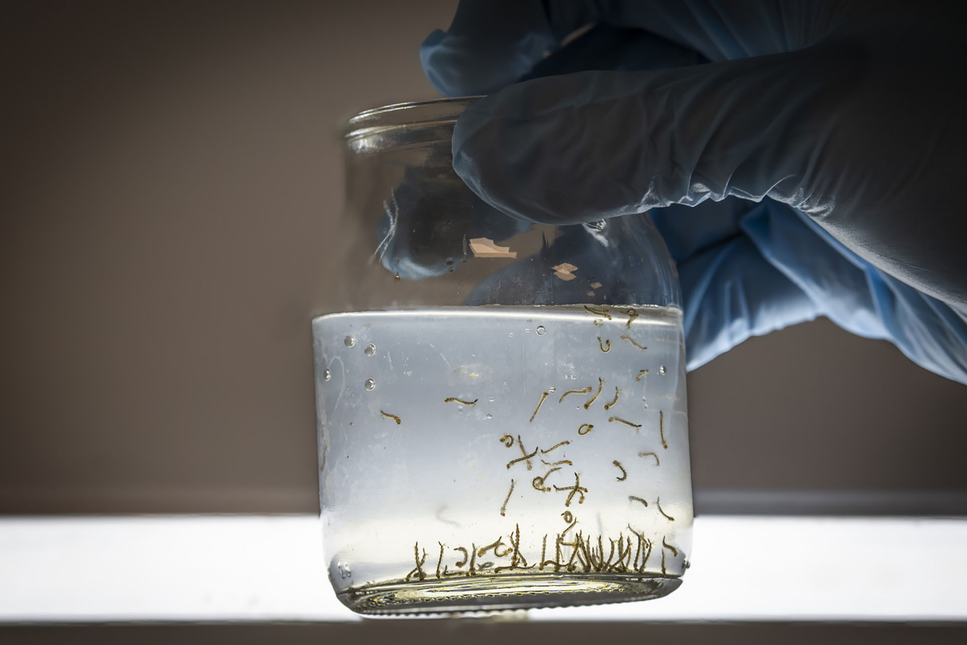 Ante la presencia de lluvias, Salud recuerda las medidas de prevención del dengue